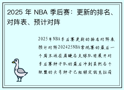 2025 年 NBA 季后赛：更新的排名、对阵表、预计对阵