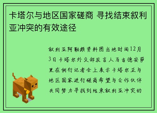卡塔尔与地区国家磋商 寻找结束叙利亚冲突的有效途径